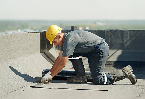 Best Eco-Friendly Insulation in Clarkston, WA